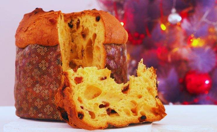 panettone